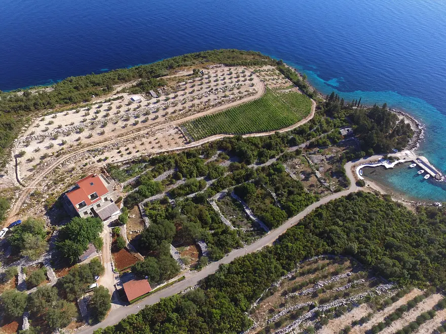 Ferienwohnung in Korcula  66116994 6034