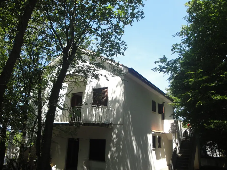 Ferienwohnung in Dobrinj  66123829 11047