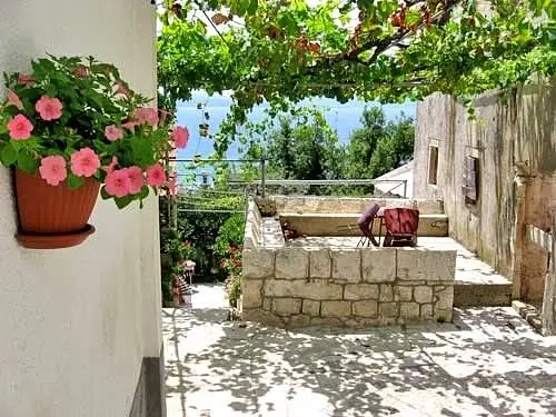 Ferienwohnung in Dubrovacko Primorje  66120690 8629