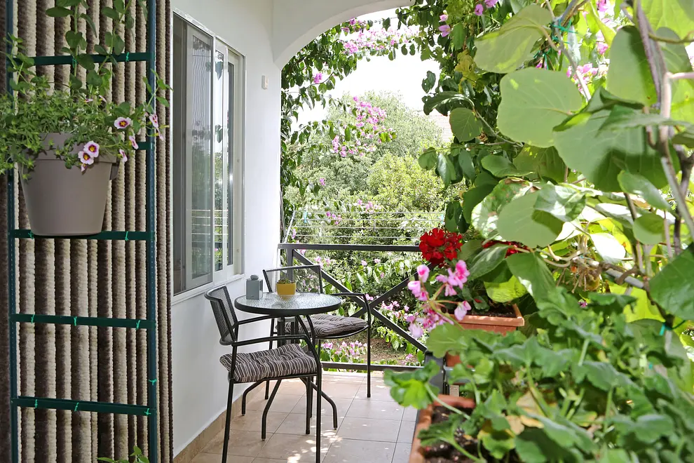 Ferienwohnung in Bibinje  66133248 18288