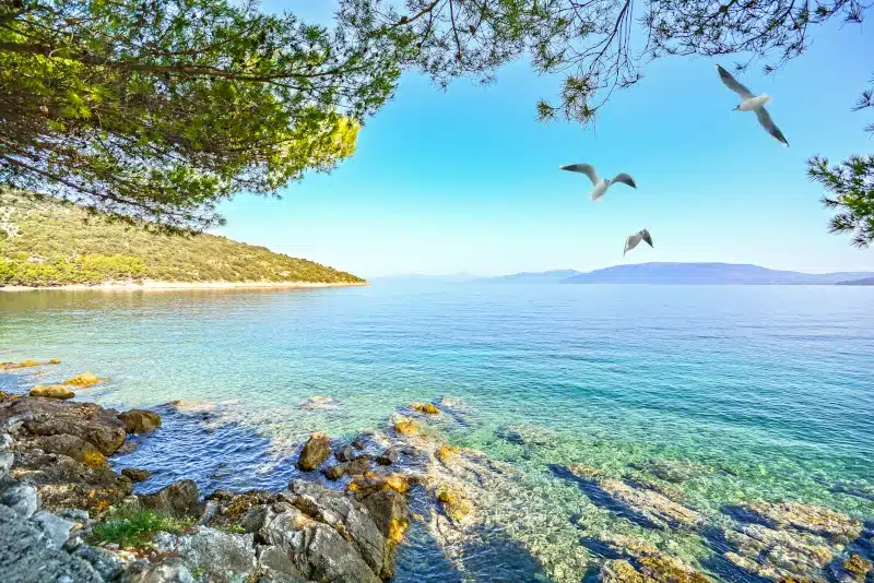 Kvarner-Bucht-Naturpark-Kroatien