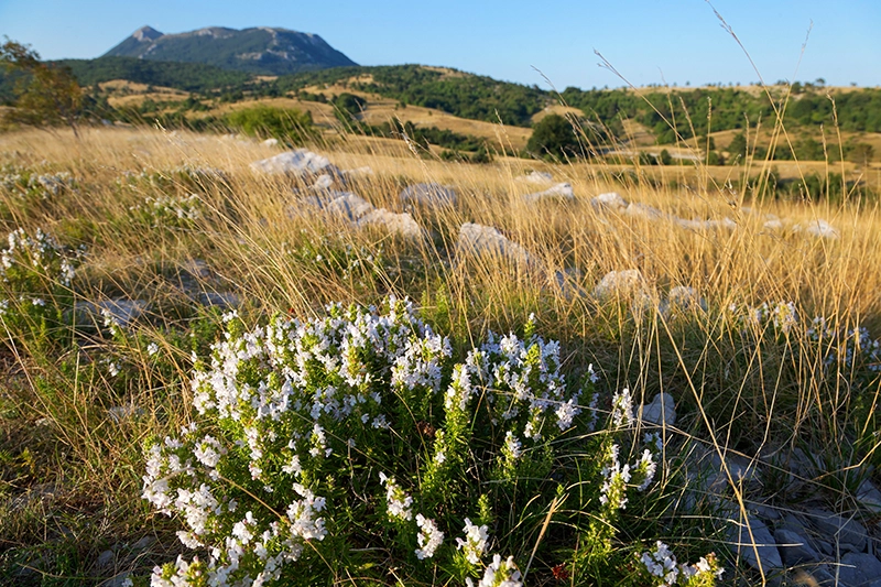 
Wandern-im-Ucka-Naturpark-Kvarner-Bucht