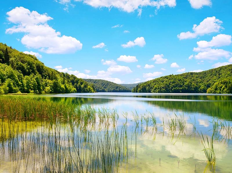 Wundervolle-Natur-in-Istrien